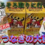 ワンピースカード新弾！世界最強の戦士を開封したら素晴らしい引きを