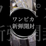 ワンピース　カードゲーム　新弾　世界最強の戦士　開封動画　！！  #ワンピース #ワンピカ #開封 #世界最強の戦士