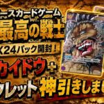 『出ました刃牙カイドウ！』ワンピースカードゲーム世界最強の戦士　開封動画