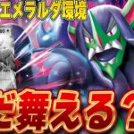 【ポケカ/対戦】ガルーラファイアローが爆増した新環境でもオーロンゲで勝ちたい‼️（ストームエメラルダ環境）