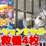 【ラッシュデュエル】新規紹介！救惺の追加４枚！魔導騎士族をフュージョン召喚！！！【遊戯王】