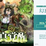 【雑談】新弾のカード整理続き【ヴァンガード】