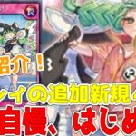 【ラッシュデュエル】新規紹介！ヘルシィの追加新規４枚！専用罠に墓地回収に打点下げ！！！【遊戯王】