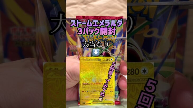 【ポケカ新弾】ストームエメラルダ１１日目‼️ #ポケモンカード #ポケモン #ポケカ