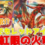 【ラッシュデュエル】新規紹介！真紅眼の火竜！どこでも真紅眼の黒竜になれるドローつきレッドアイズ！！！【遊戯王】