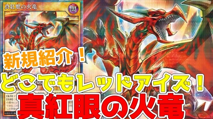 【ラッシュデュエル】新規紹介！真紅眼の火竜！どこでも真紅眼の黒竜になれるドローつきレッドアイズ！！！【遊戯王】