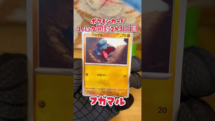 【ポケカ】ポケモンカード  レイジングサーフ  1パック開封243日目・・・#ポケモン#ポケモンカード#開封動画