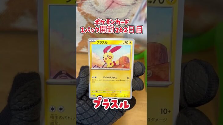 【ポケカ】ポケモンカード  レイジングサーフ  1パック開封262日目・・・#ポケモン#ポケモンカード#開封動画
