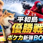 平和島｜3都市対抗戦｜優勝戦復習｜新弾ポケカBOX開封