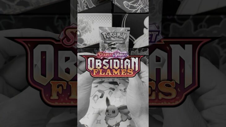 Let’s open Obsidian Flames! #pokemon #pokemoncards #pokemontcg