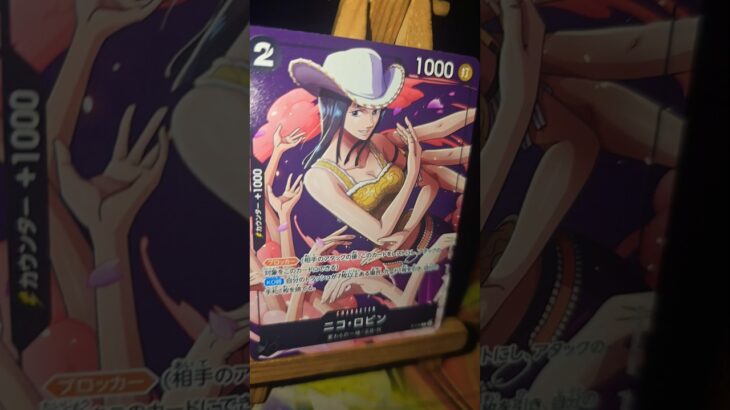 Nico Robin   ニコ・ロビン  One Piece ワンピース