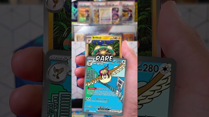 *POKEMON* Obsidian Flames! A pack a day: 252