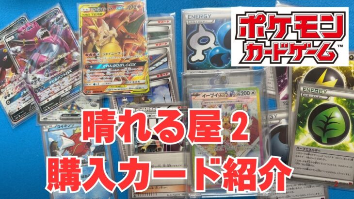 【ポケカ】晴れる屋２で購入したポケモンカード。Pokémon Trading Card Game in japan ―English audio available!