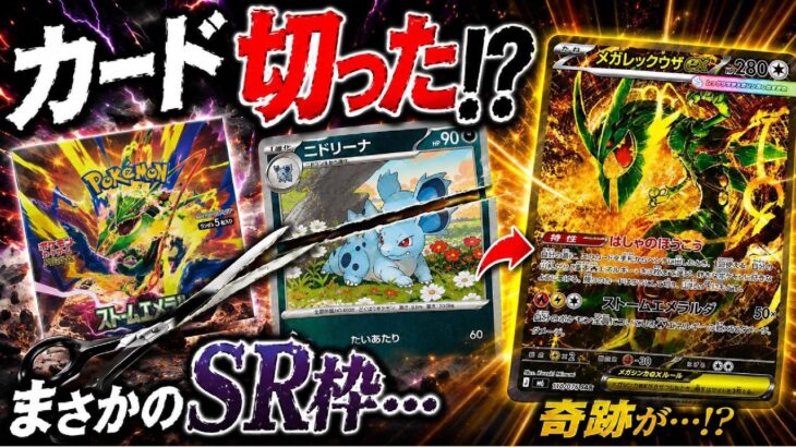 【ポケモンカード】カードを切った…しかもSAR枠！？絶望した直後に奇跡が起きました