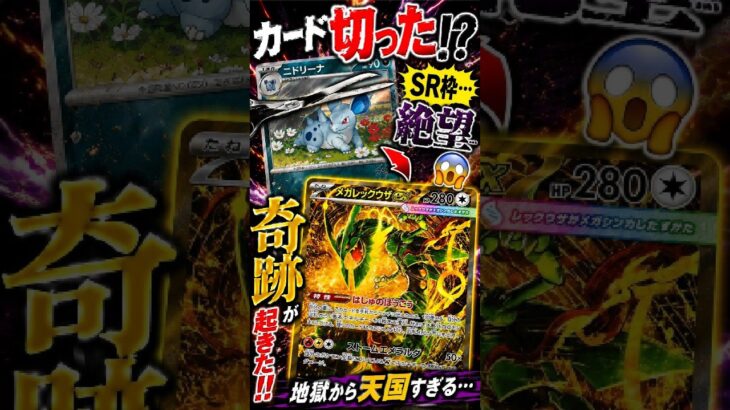 【ポケモンカード】カード切った…しかもSAR枠！？絶望した直後、とんでもない奇跡が起きた #shorts
