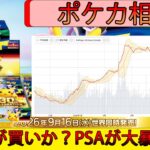 ポケカ相場どう動く？