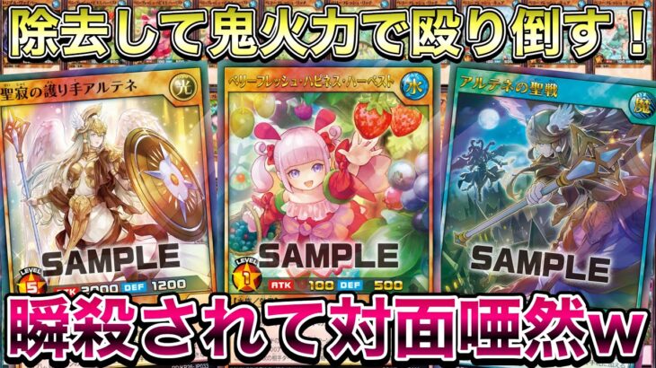 【脳筋】アルテネ出張セットで待望の突破力と火力を獲得した『ベリーフレッシュ』が面白過ぎるので紹介します。