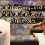 ลองเทสสตรีม vanguard