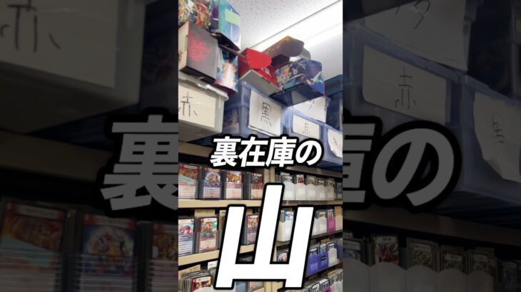 デッキ作りのため裏在庫捜索#vlog #デュエマ #カードショップ