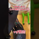 【ポケカ】ポケモンカード  黒炎の支配者  1パック開封274日目・・・#ポケモン#ポケモンカード#開封動画