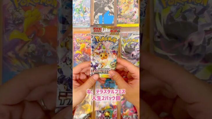 テラスタルフェス #2 👻呪いをかけられました👻