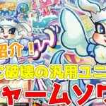 【ラッシュデュエル】新規紹介！Aチャームソワル！500アップに魔法破壊の汎用ユニオン！！！【遊戯王】
