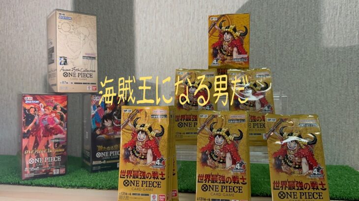 ワンピース新弾BOX開封