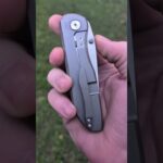 Vanguard Cheetah Integral