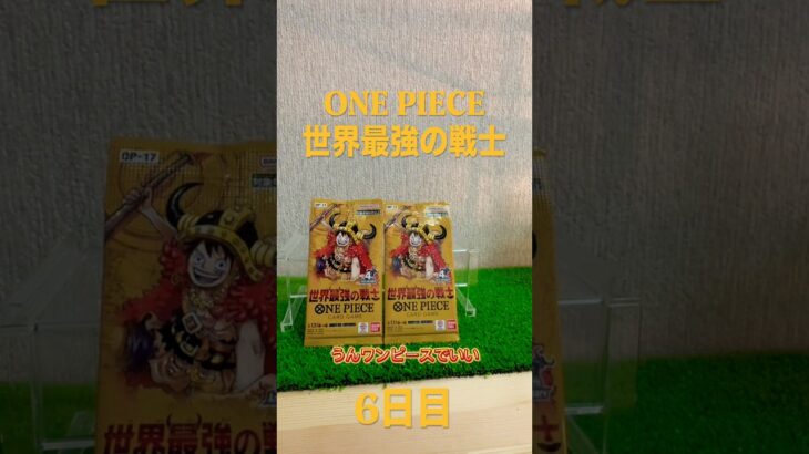 #ワンピース#新弾